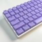 Jelly Purple 104+32 Keys OEM Profile PC Doubleshot Top Legends Keycaps Set for MX Keyboard